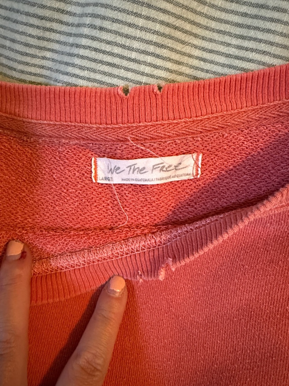 We The Free Coral Crewneck Pullover - Picture 2 of 2